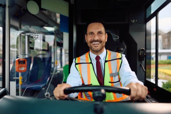 Apply for irish driving licence online